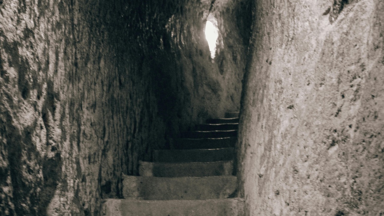 Betül Balcı/Pexels