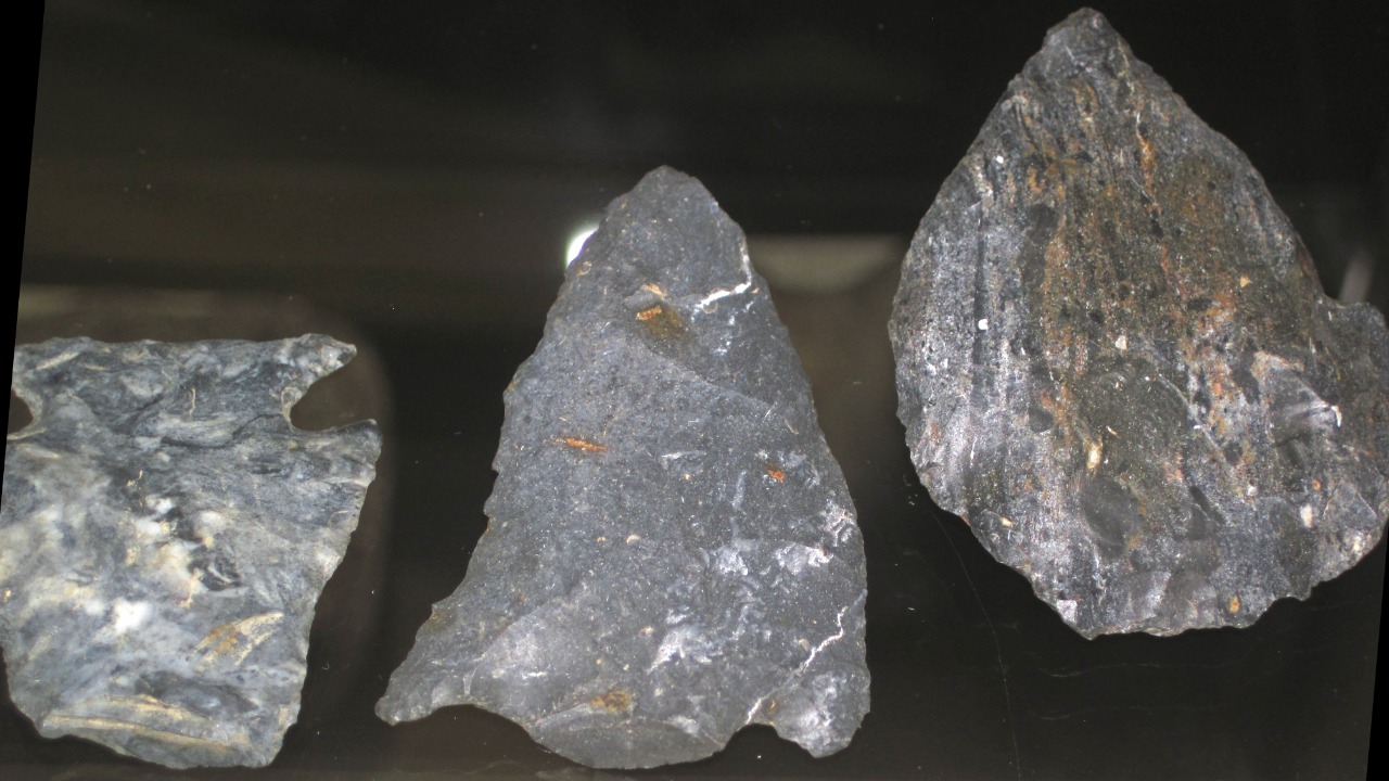 Image Credit: James St. John - CC BY 2.0/Wiki Commons