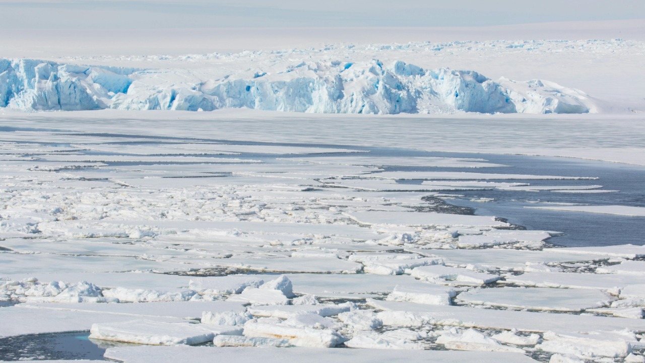 Sergey Torbik/Pexels