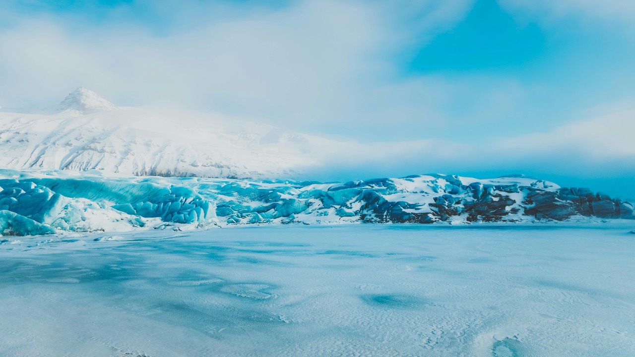 Matheus Bertelli/Pexels