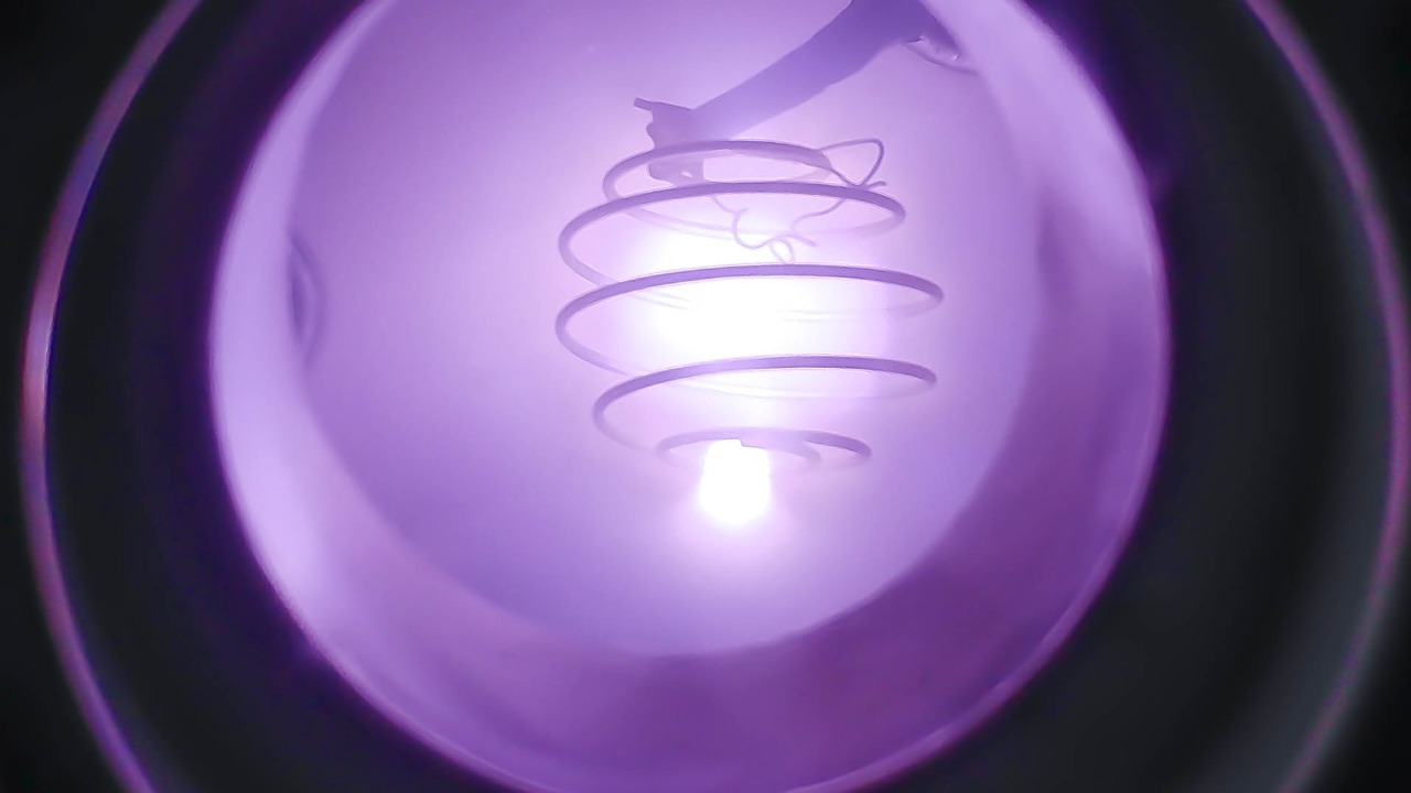 Image Credit: Samuel Low - CC BY 4.0/Wiki Commons