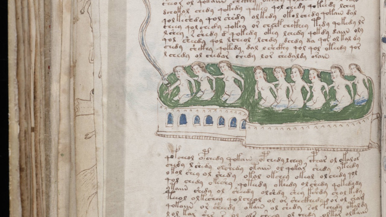 Image Credit: Unknown authorUnknown author - Public domain/Wiki Commons