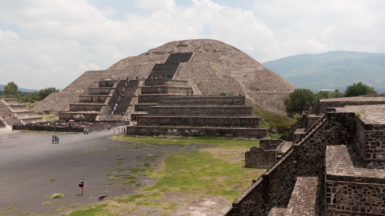 Image Credit: Ralf Roletschek - GFDL 1.2/Wiki Commons