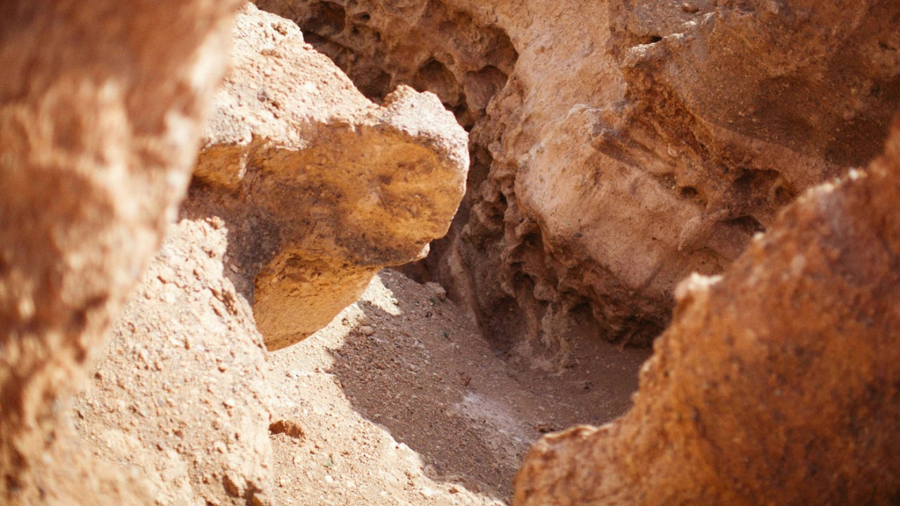 alexeydemidov/Unsplash