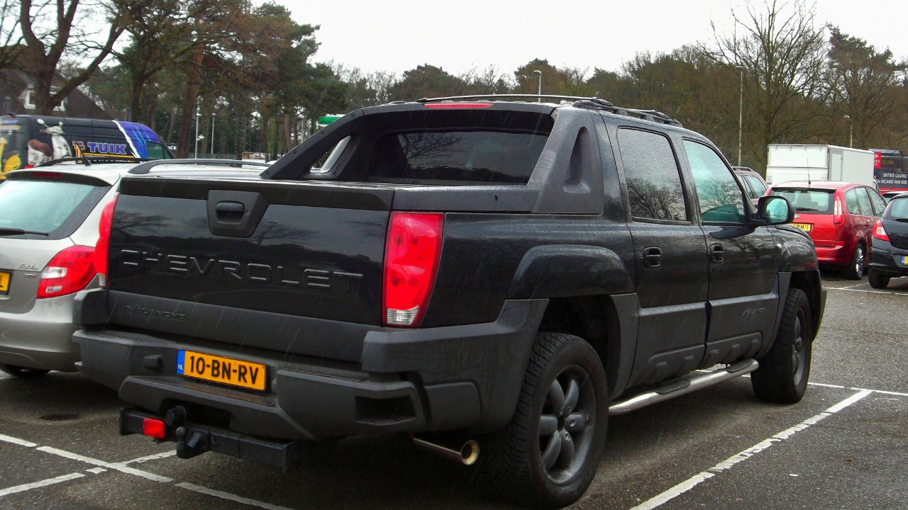 Image Credit: Dennis Elzinga - CC BY 2.0/Wiki Commons