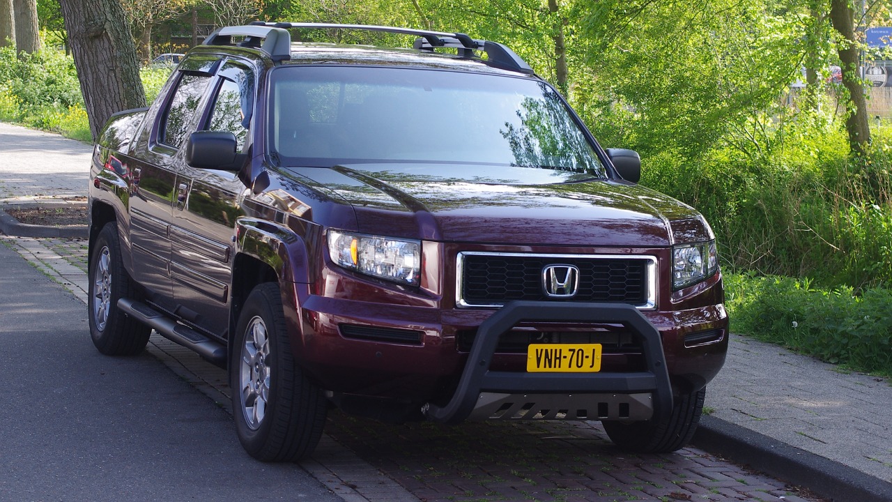 Image Credit: Rutger van der Maar - CC BY 2.0/Wiki Commons