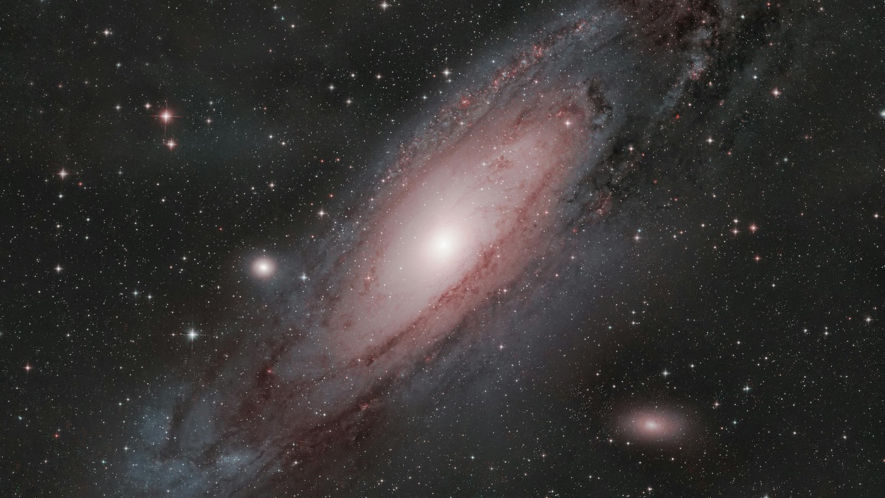 Marco Milanesi/Pexels