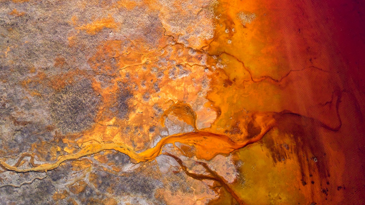 Image Credit: Vasily Iakovlev - CC BY 4.0/Wiki Commons