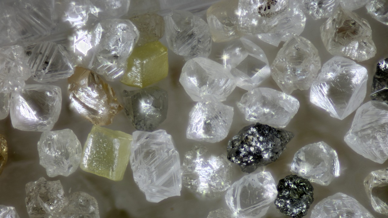 Image Credit: Jerry Cone - Public domain/Wiki Commons