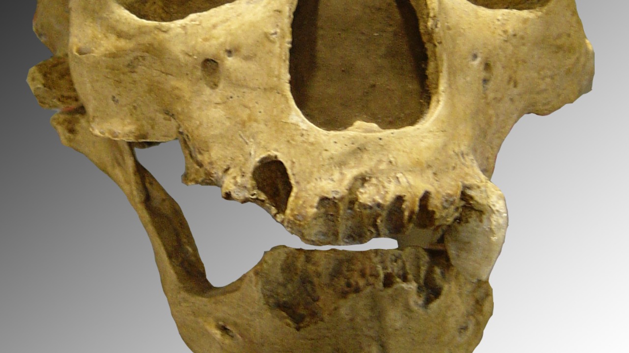 Image Credit: Luna04 - CC BY 2.5/Wiki Commons