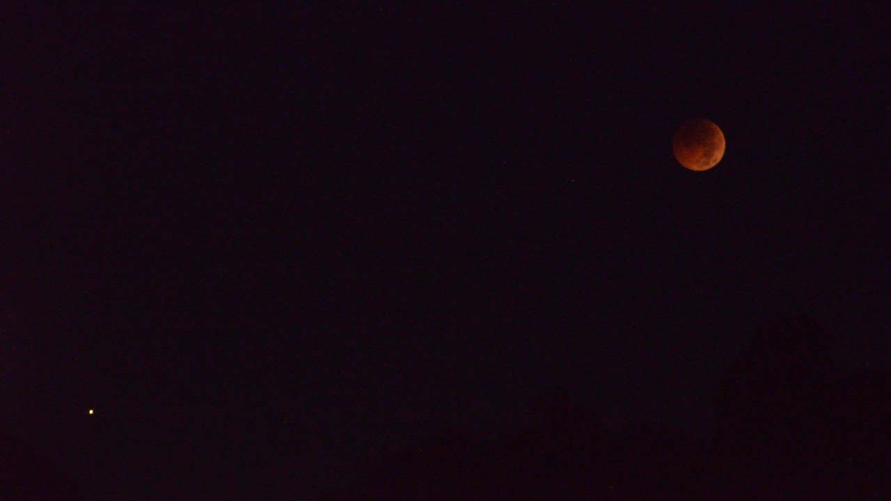 Image Credit: Takeshi Kuboki from Fukuoka, Japan - CC BY 2.0/Wiki Commons