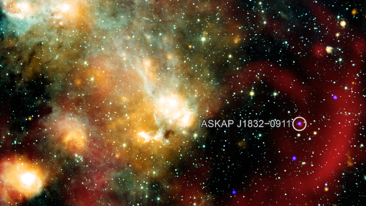 Image Credit: X-ray: NASA/CXC/ICRAR, Curtin Univ./Z. Wang et al.; Infrared: NASA/JPL/CalTech/IPAC; Radio: SARAO/MeerKAT; Image processing: NASA/CXC/SAO/N. Wolk - Public domain/Wiki Commons