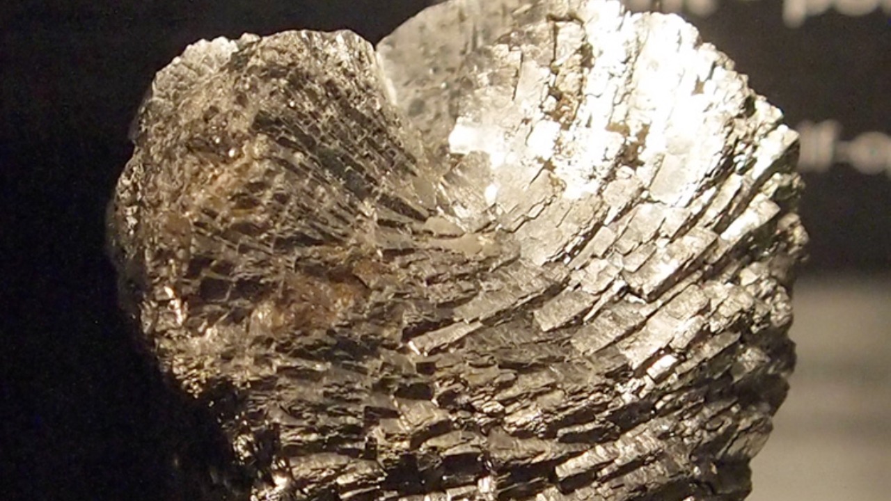 Image Credit: Tiia Monto - CC BY-SA 3.0/Wiki Commons