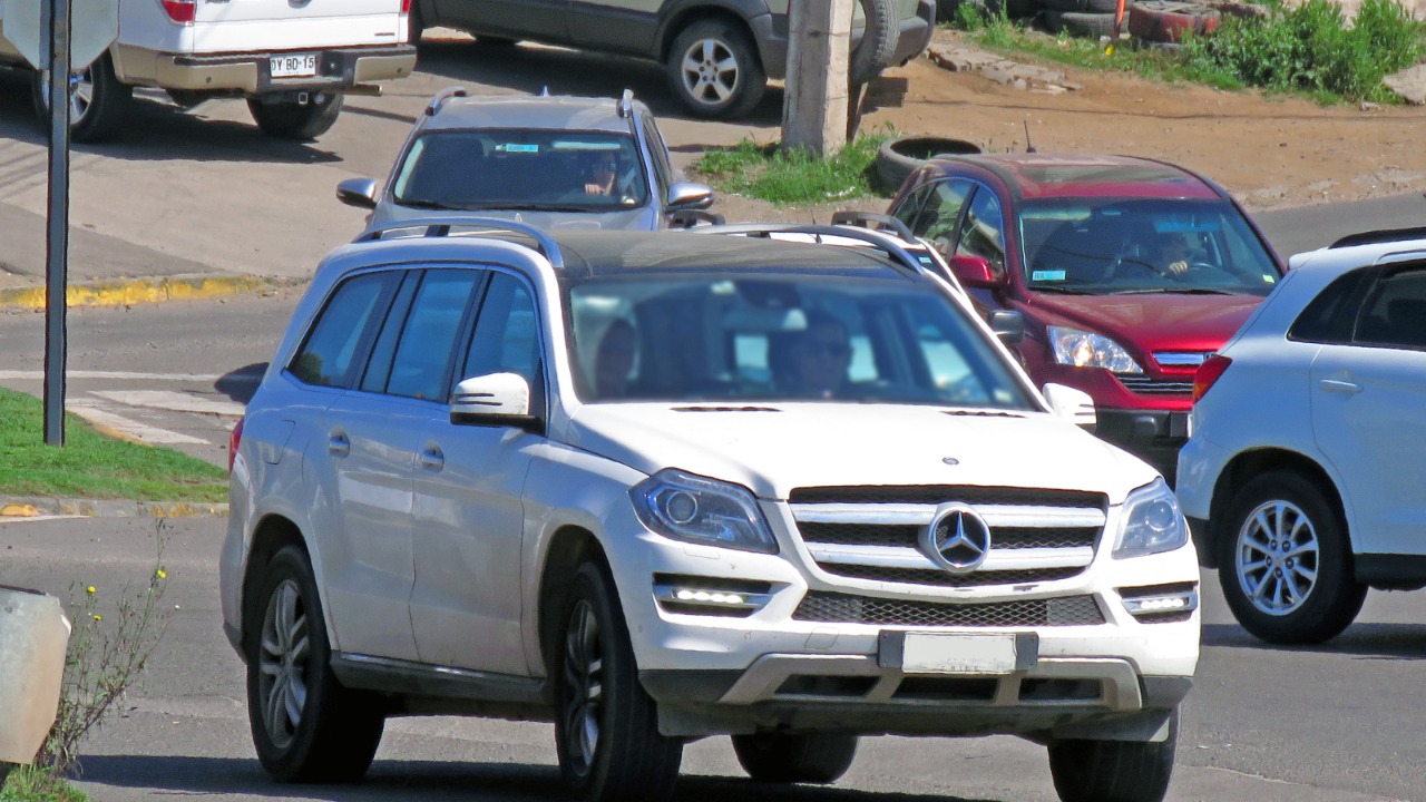 Image Credit: RL GNZLZ from Chile - CC BY-SA 2.0/Wiki Commons