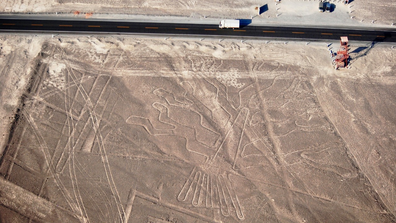 Janeth Charris/Pexels