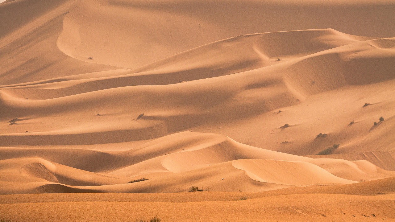 Boris Ulzibat/Pexels