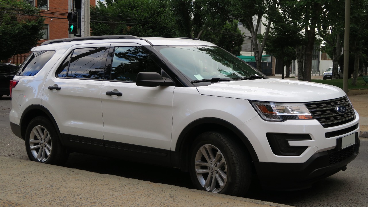 Image Credit: RL GNZLZ from Chile - CC BY-SA 2.0/Wiki Commons