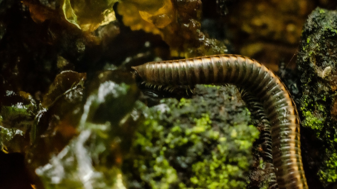 viktortalashuk/Unsplash