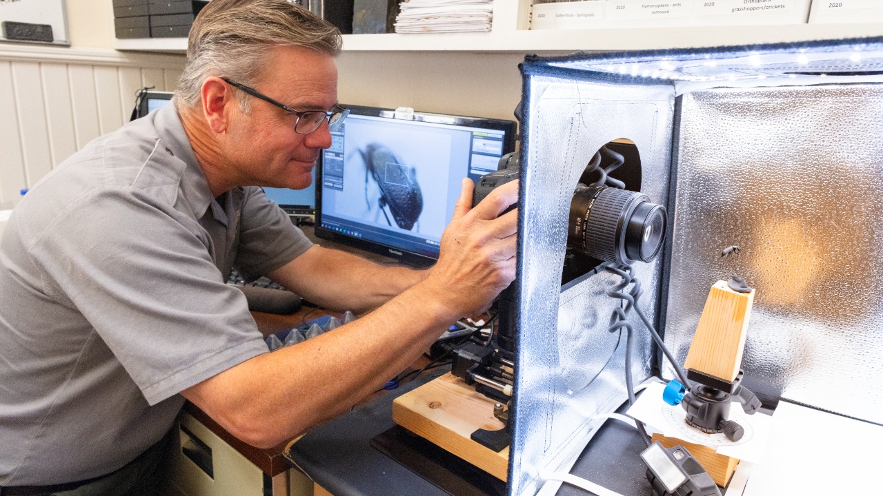 Image Credit: Jacob W. Frank - Public domain/Wiki Commons