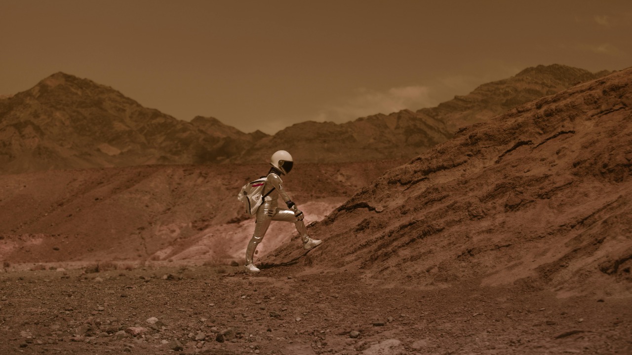 RDNE Stock project/Pexels