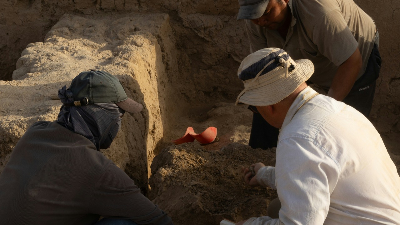 aleksander_stypczynski/Unsplash