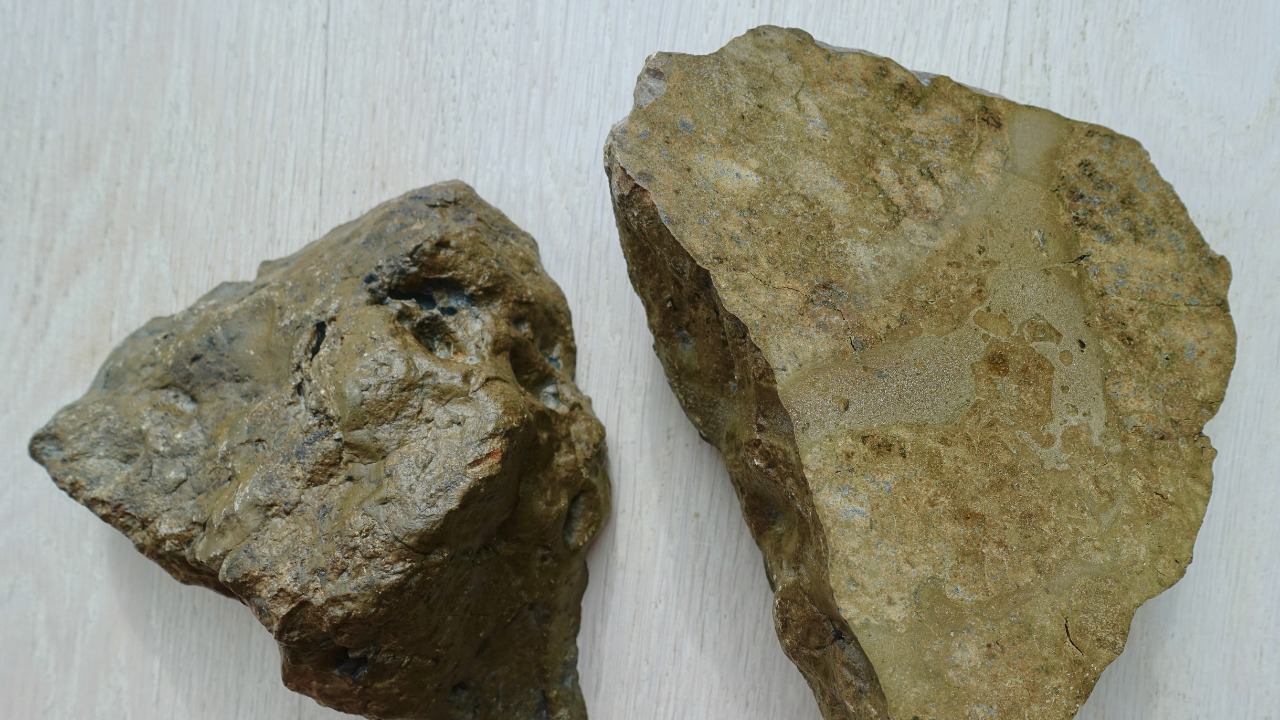 Image Credit: Steve Jurvetson - CC BY 2.0/Wiki Commons