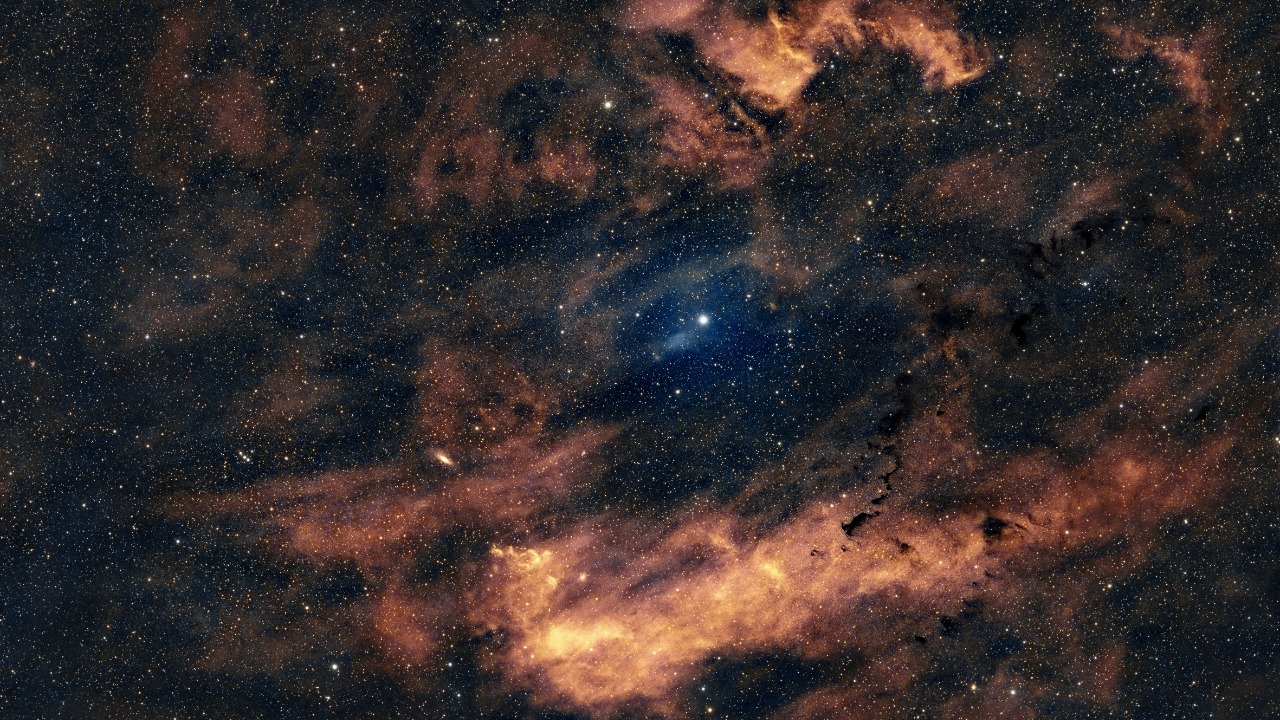 darkcatimages/Unsplash