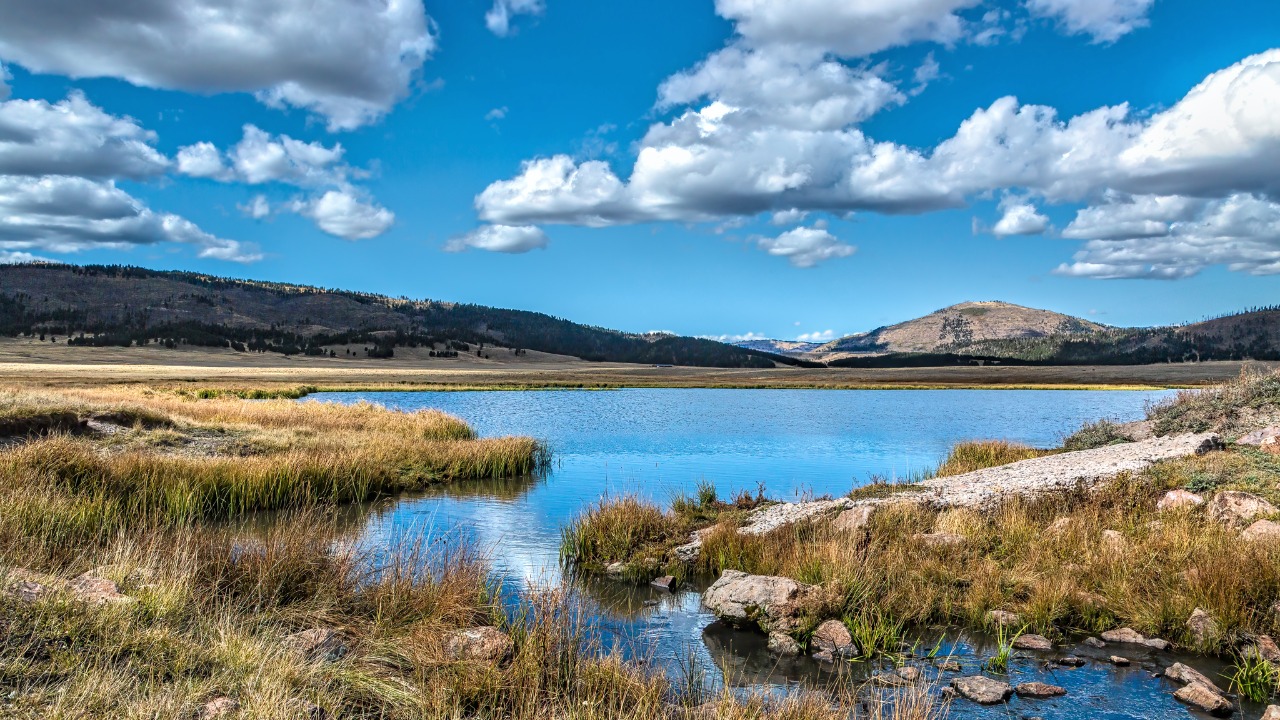 Image Credit: Sheila Sund - CC BY 2.0/Wiki Commons