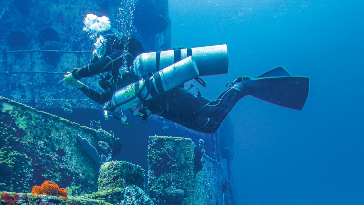 Christian Vergara/Pexels