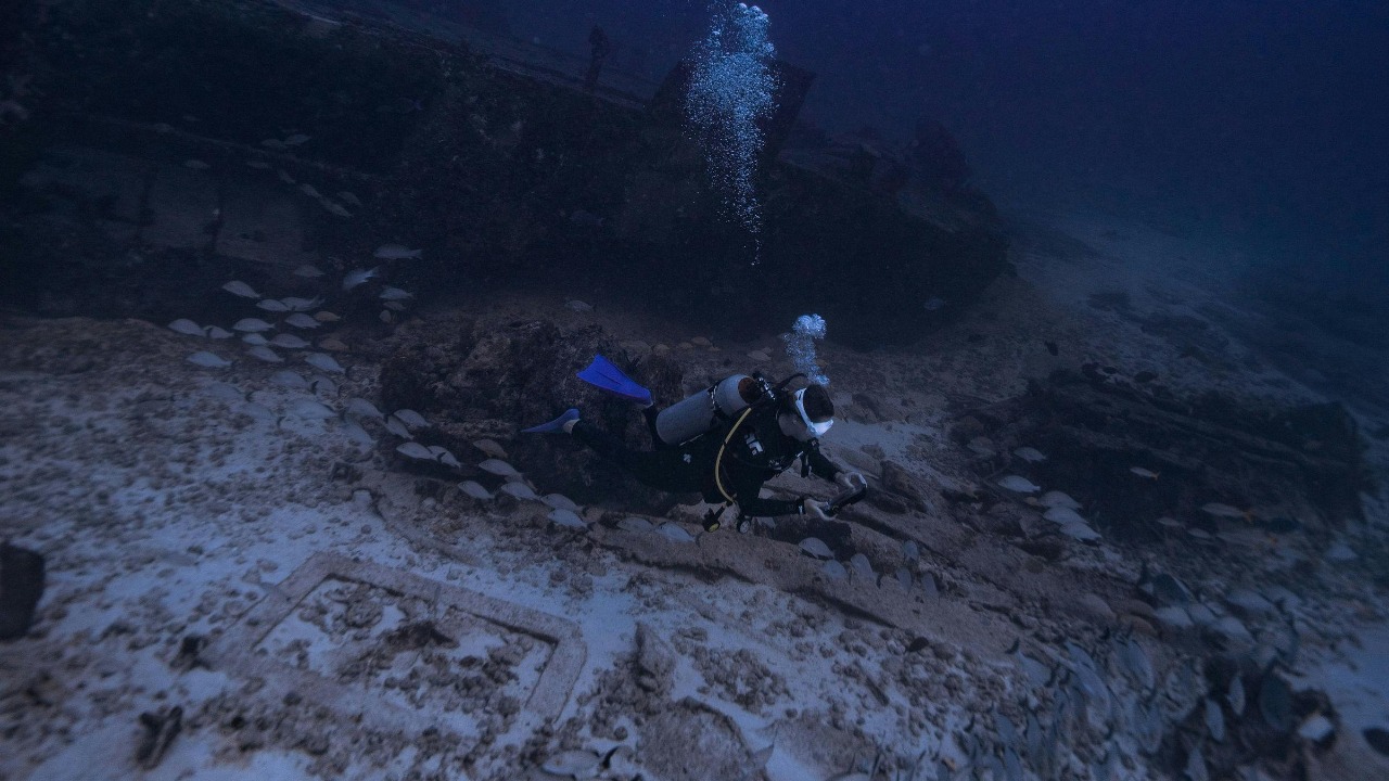 Harvey Clements/Pexels