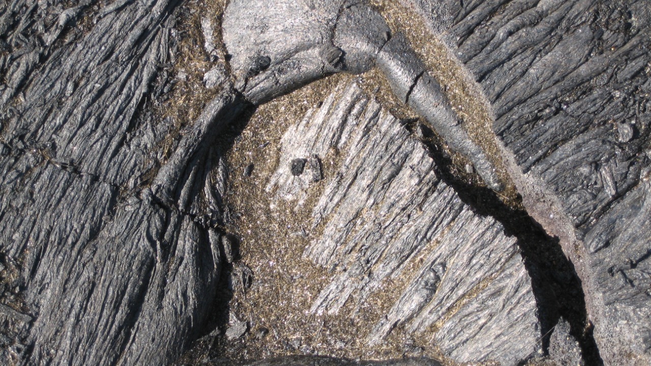 Image Credit: Douglaspperkins - Public domain/Wiki Commons