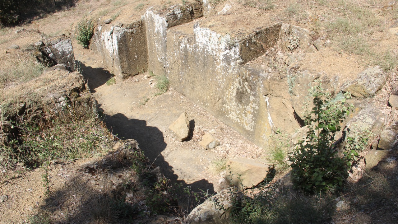 Image Credit: Niels Elgaard Larsen - CC BY-SA 3.0/Wiki Commons