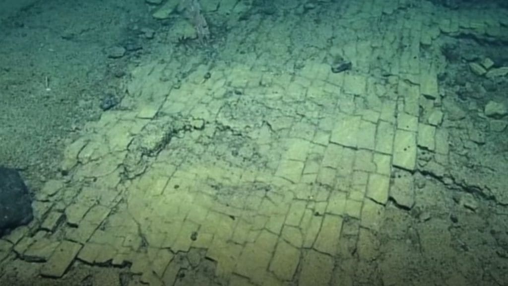 scientists exploring yellow brick road Pacific ocean