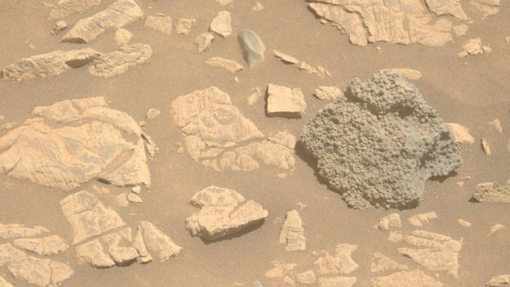 Mars rover finds bizarre rock shaped like spider eggs