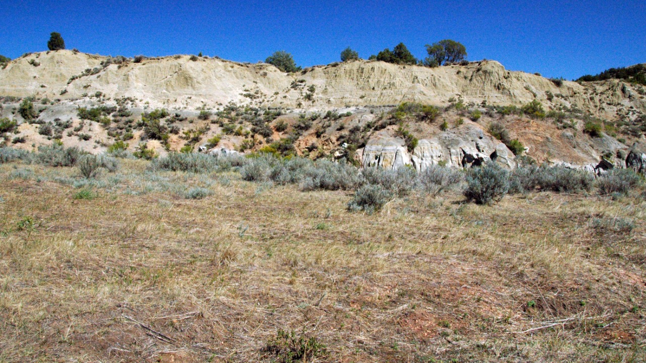 Image Credit: James St. John - CC BY 2.0/Wiki Commons