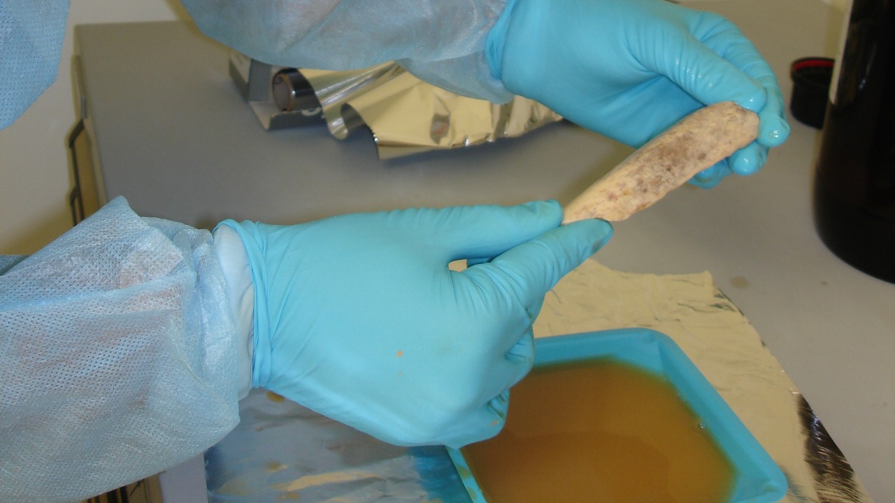 Image Credit: Max Planck Institute for Evolutionary Anthropology - Public domain/Wiki Commons