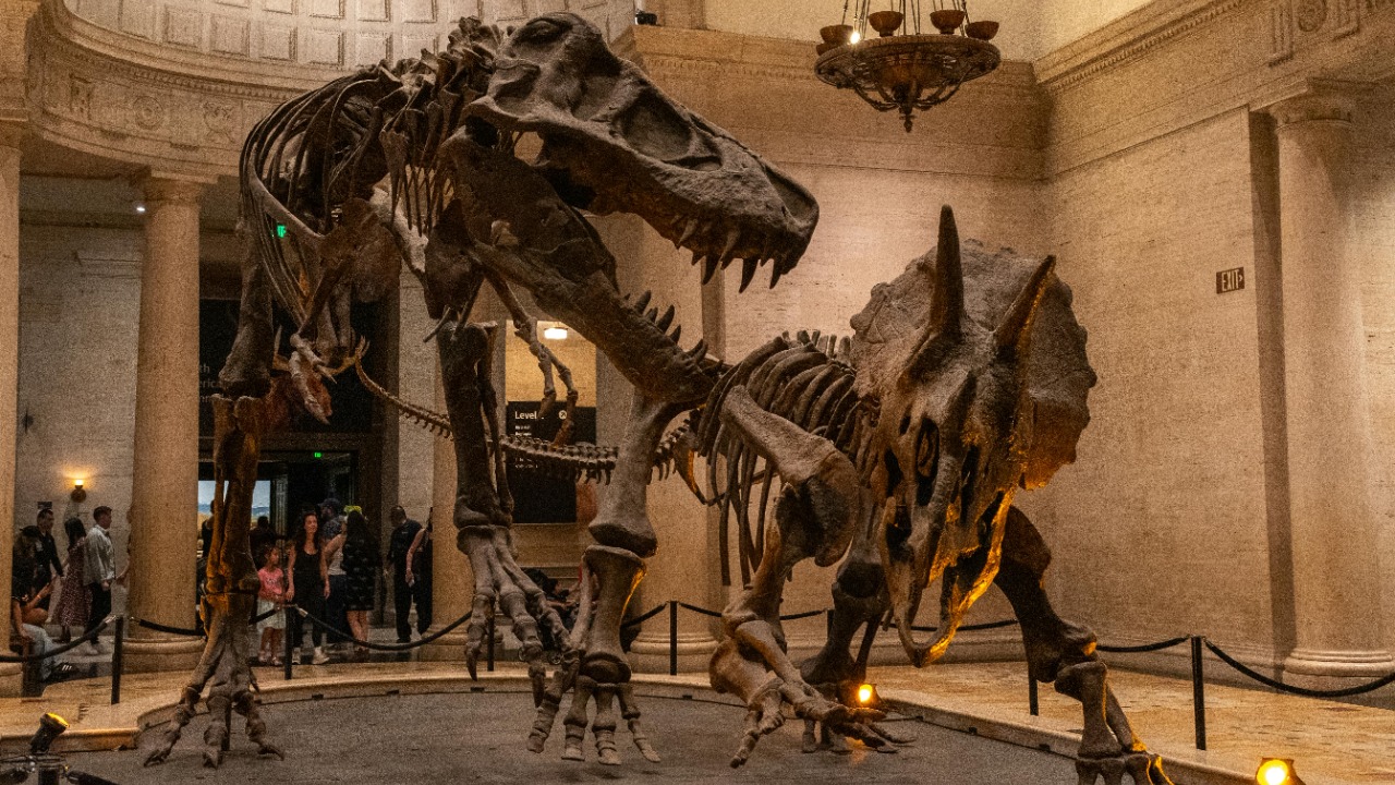 Allan Ramirez/Pexels