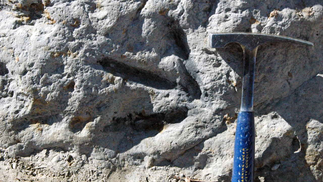 Image Credit: James St. John - CC BY 2.0/Wiki Commons