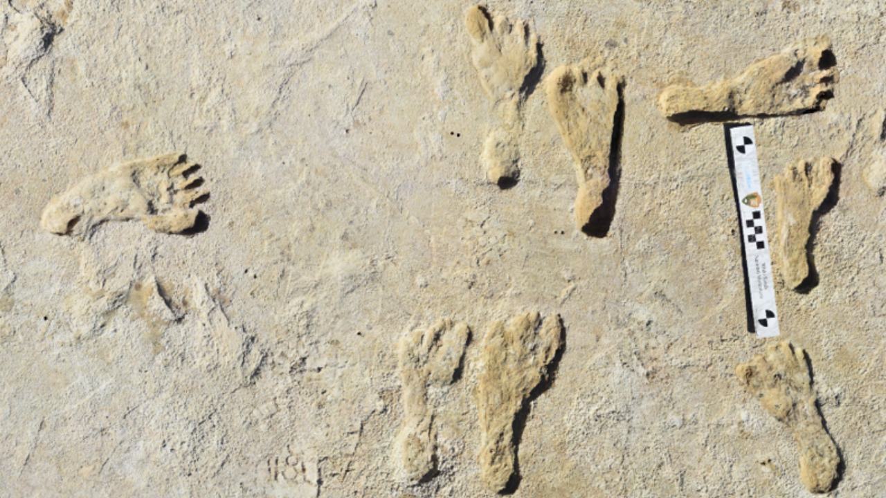 Oldest human tracks found in New Mexico, and the details are insane