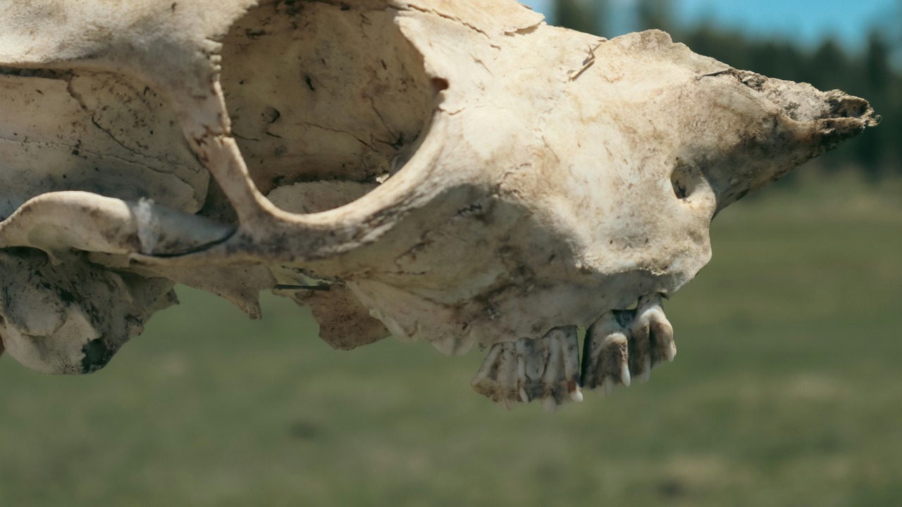 _allieastorga_/Unsplash