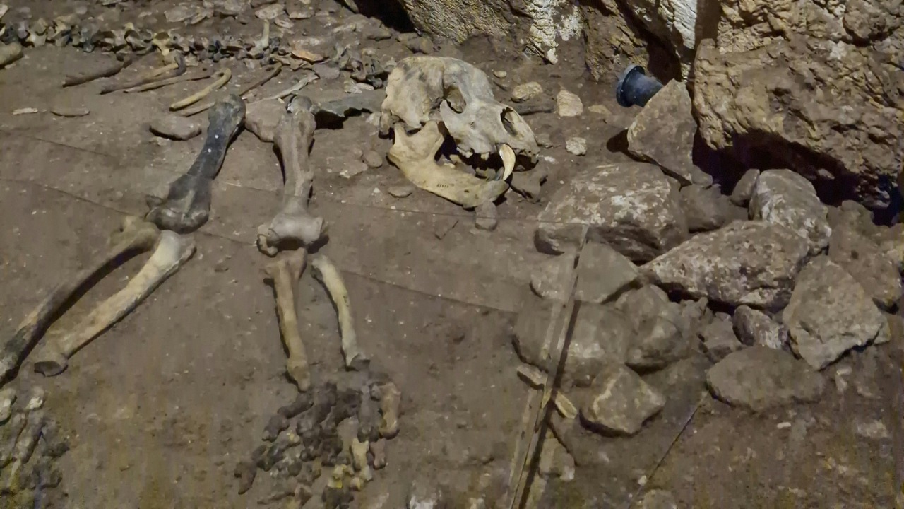 Kostiantyn Klymovets/Pexels