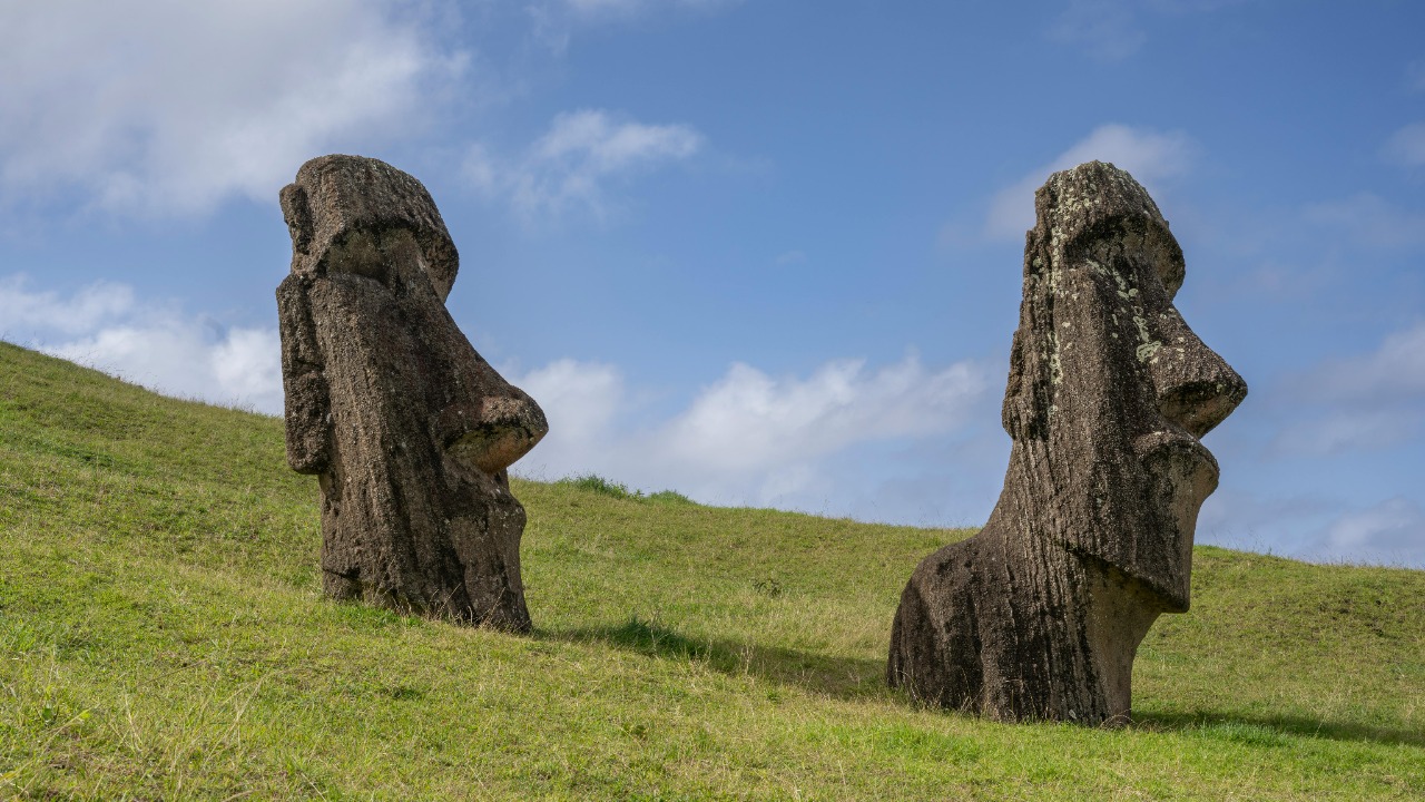 Miguel Cuenca/Pexels
