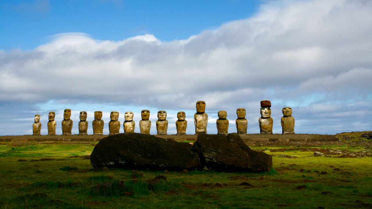 sophie_wild_wisdom/Unsplash