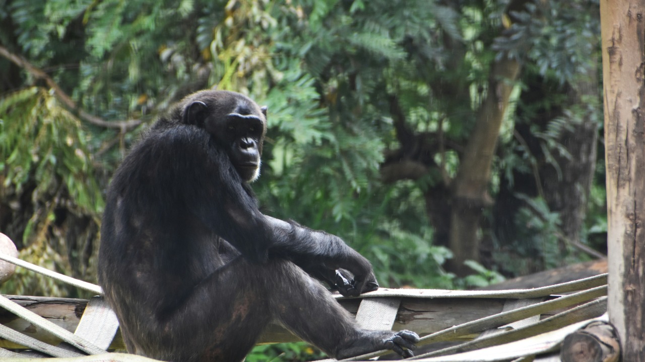 mad_pikcels/Unsplash