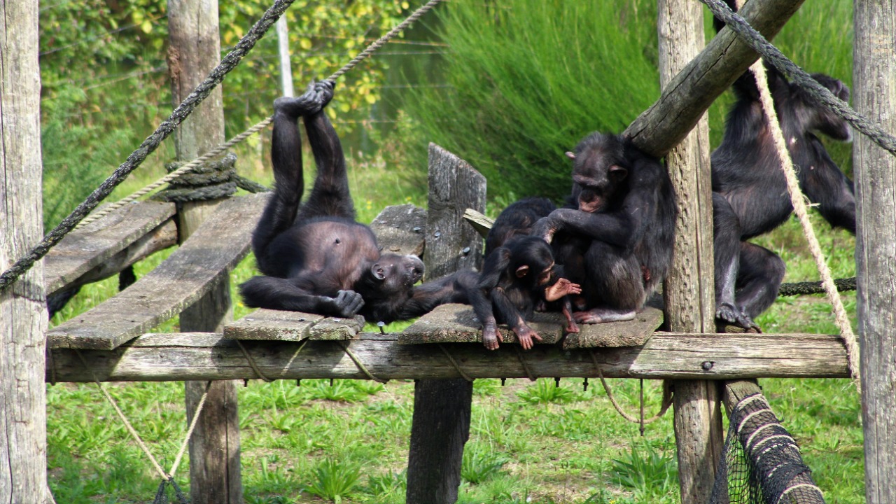 hans middendorp/Pexels