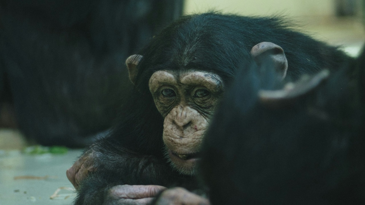 andriusordojan/Unsplash