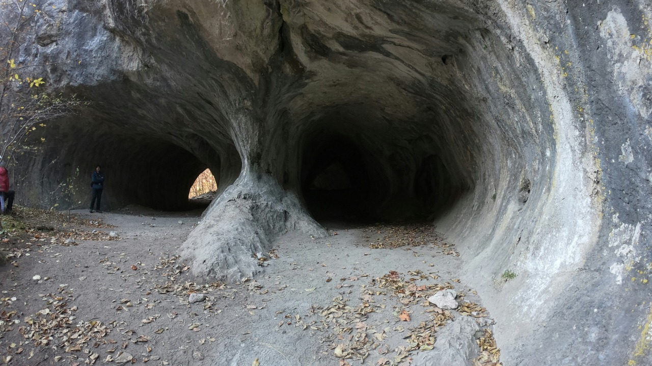 vladutremus/Unsplash