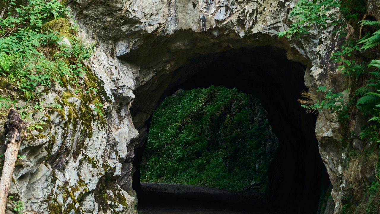 Scientists find tunnels that hint at an unknown ancient lifeform