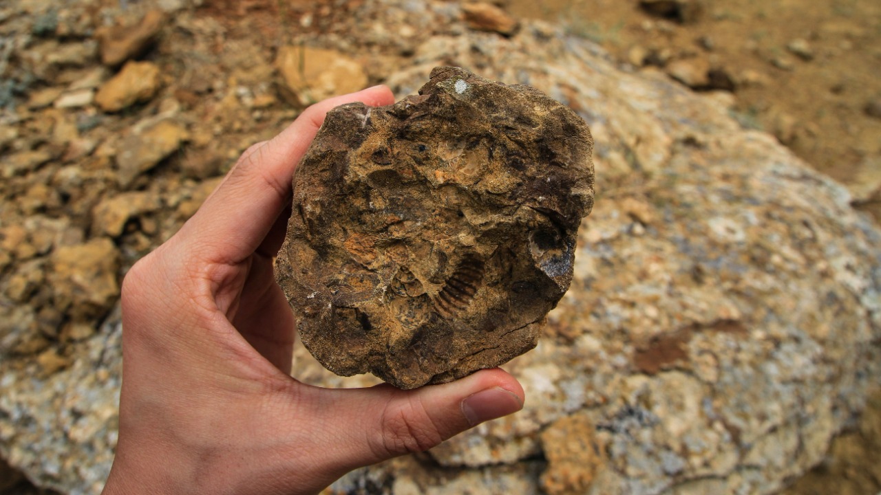 chocolate_milk_denmark/Unsplash