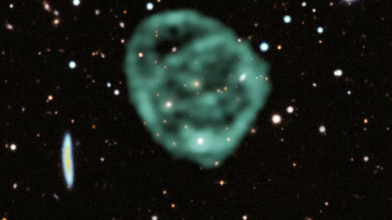 Image Credit: Jayanne English MeerKAT - CC BY-SA 4.0/Wiki Commons